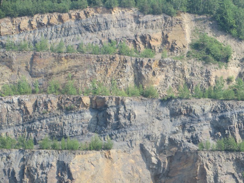 Exkursion in den Piesberg  am 13. Mai 2018 (46)